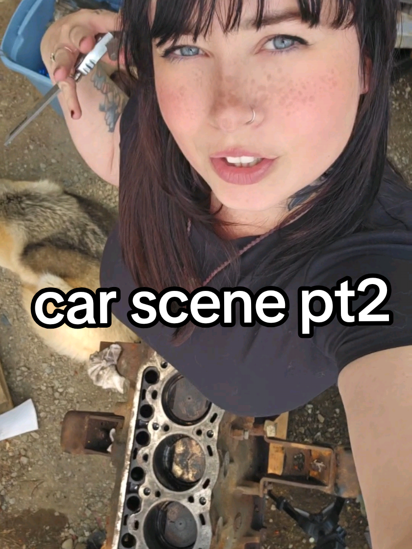 @feralcargirl