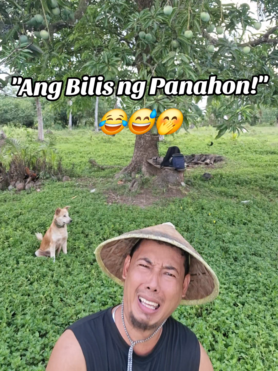 @Juan Magsasaka🌾