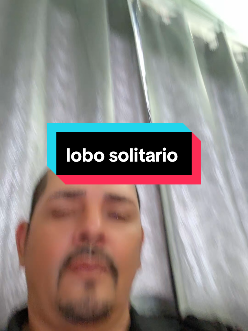 @G&M Lobo solitario