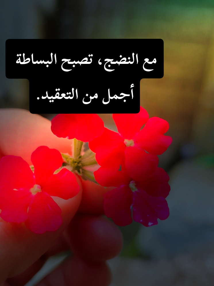 @🍃🌸Tahani Khafas🌸🍃