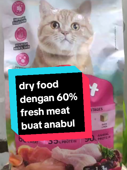 @cimba😺