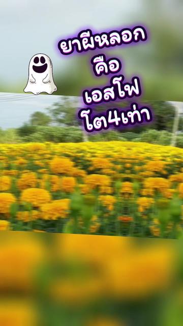 @ร้านซันเกษตร