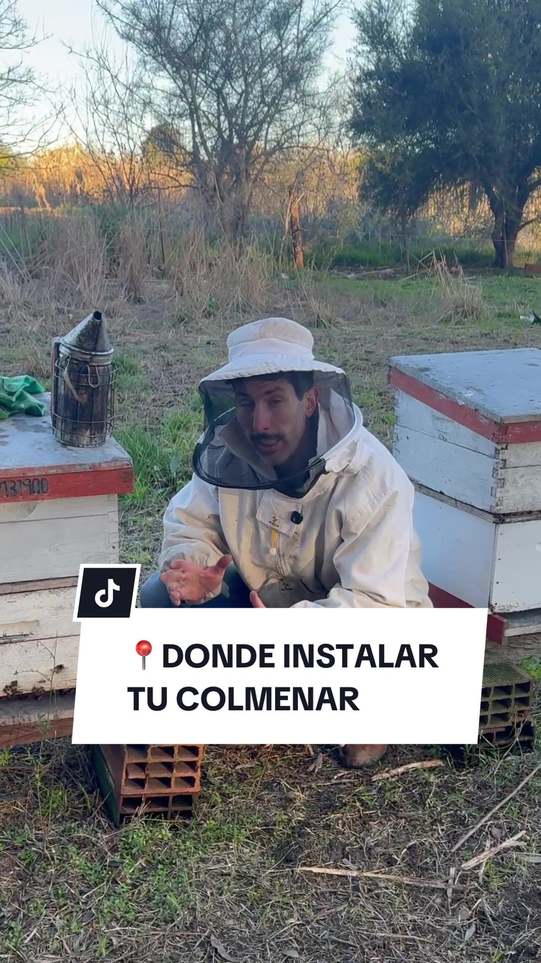 @apicola.donjuan