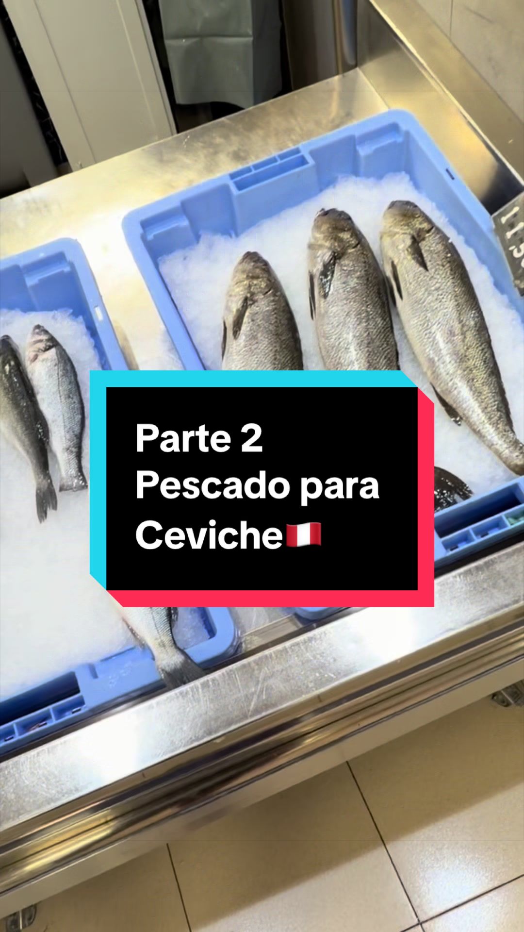 @Leo en BCN