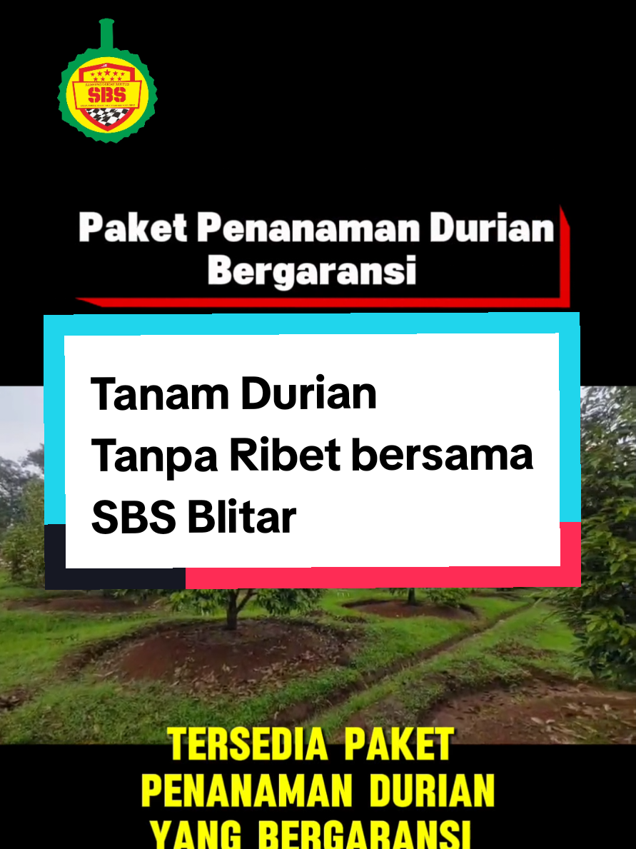 @Produksi Buah_SBS