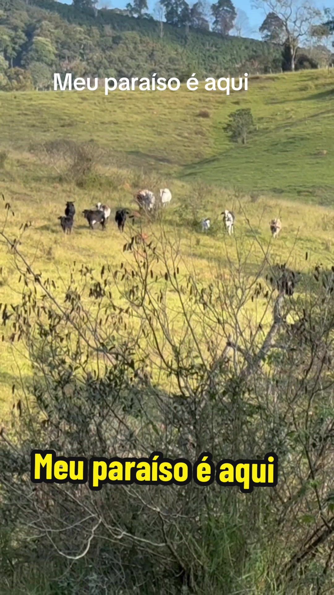 @Silvana Franco /vida na roça