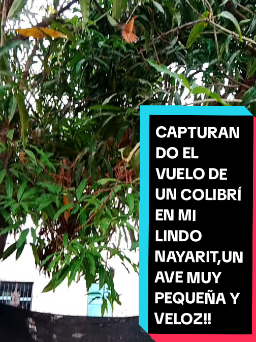 @Eliseo L&oacute;pez
