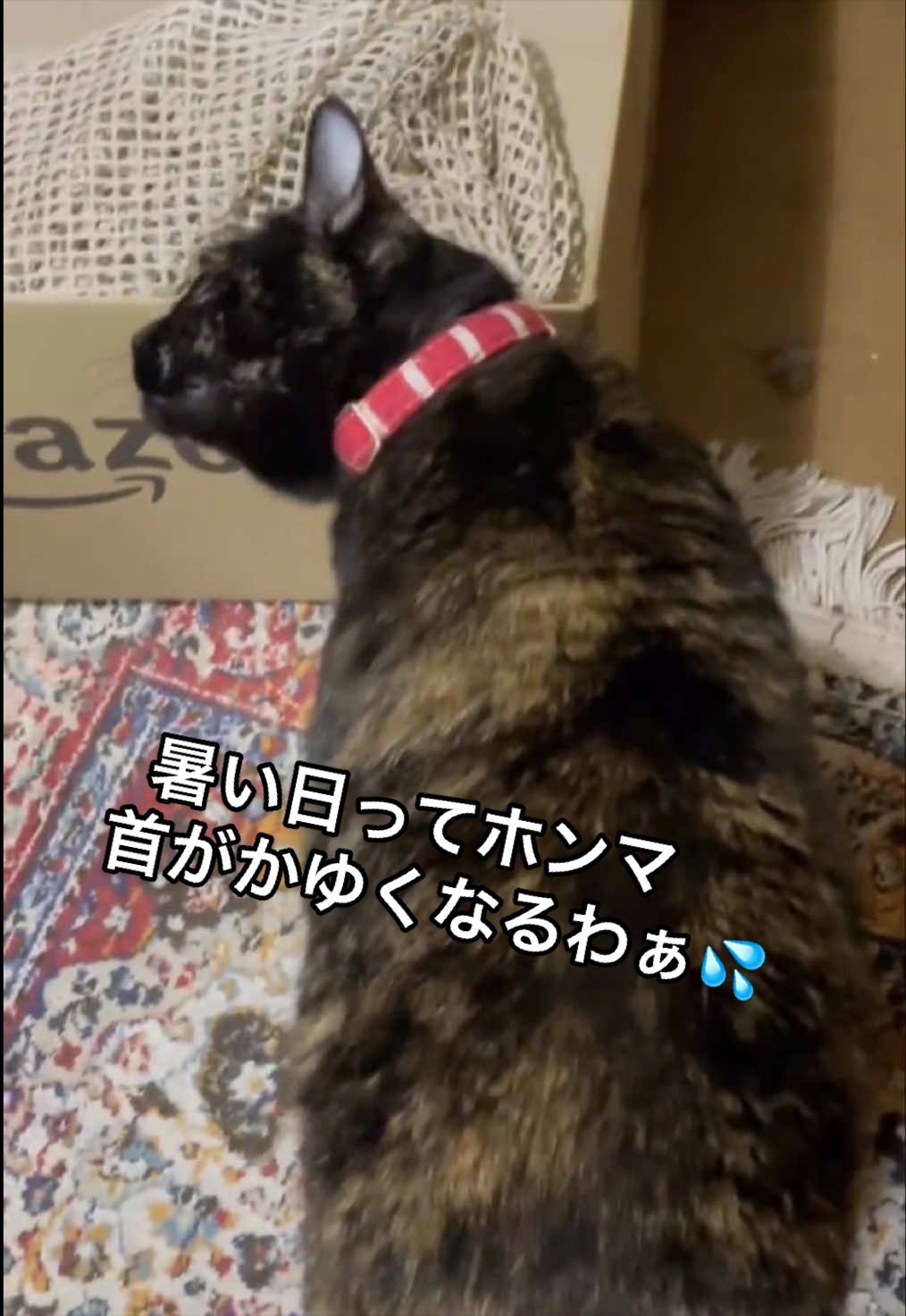 @聴々物語PROJECT