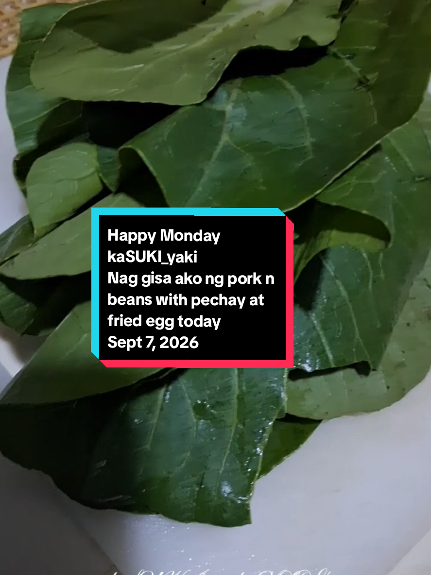 @kaSUKI_yaki. Vlogs🔥💦