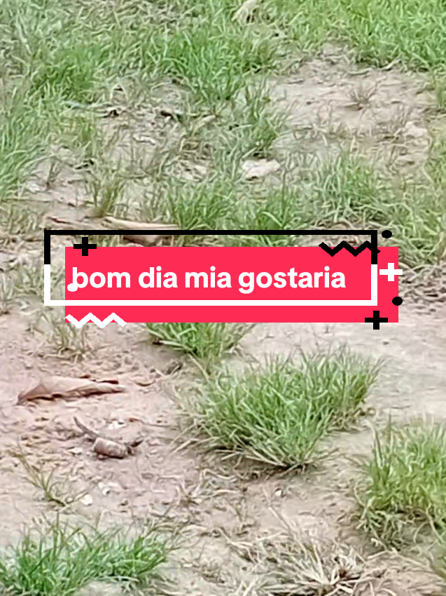@Rai.soares