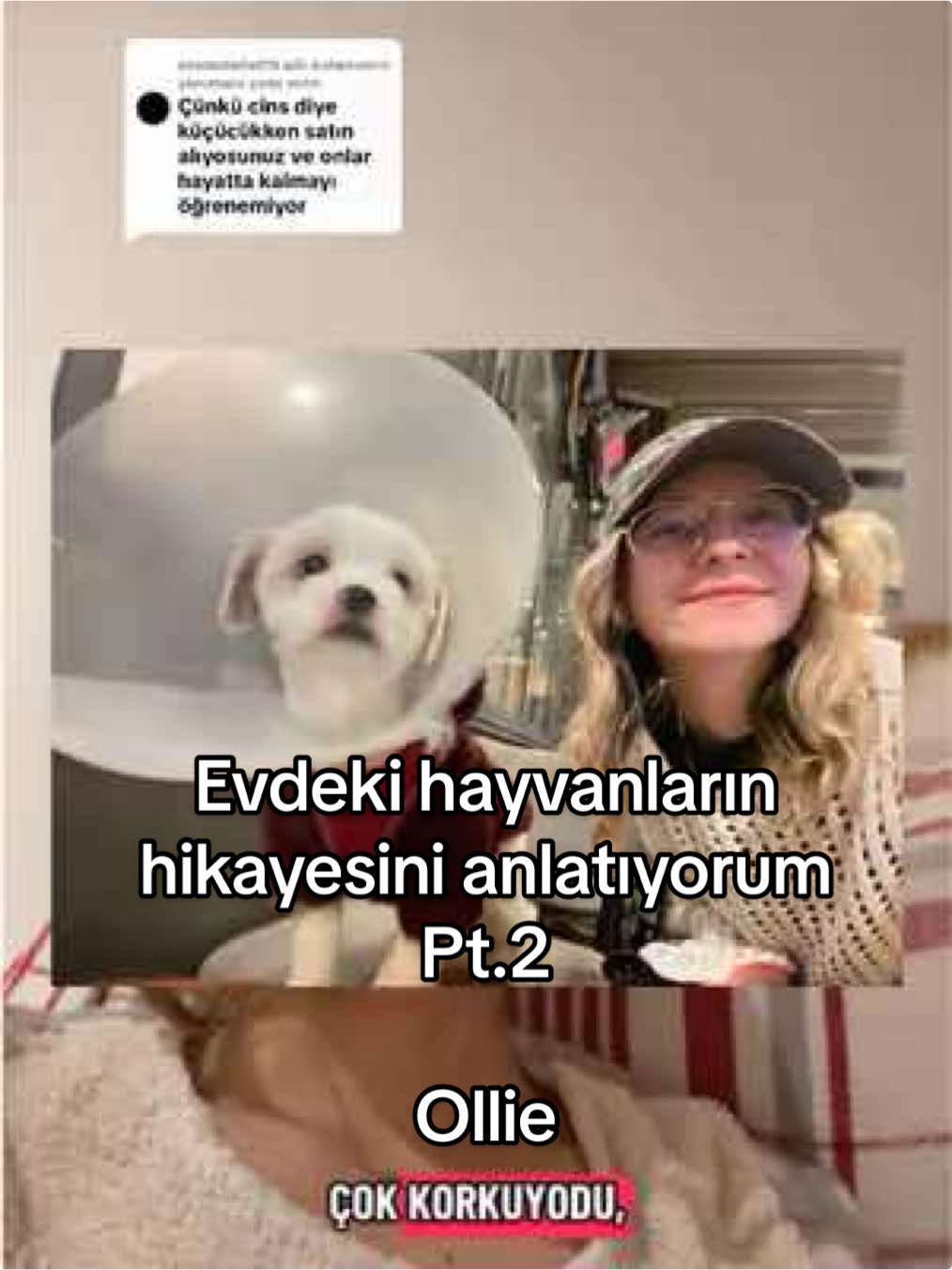 @Beyza🐾