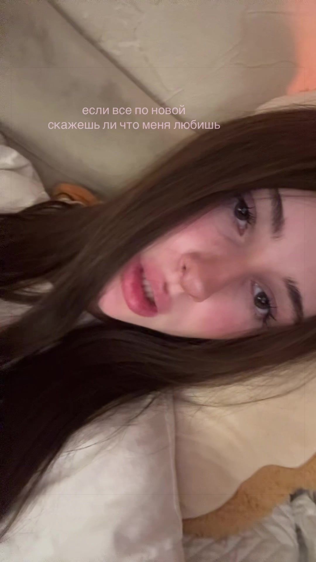 @тгк: дофи даша