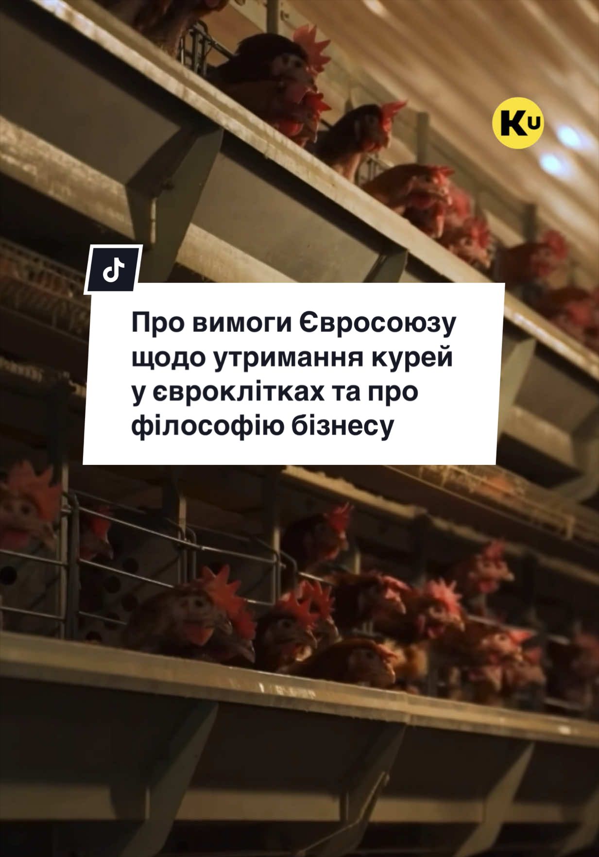 @Ku 🟨🟩 Lati &ndash; Agro Ukraine