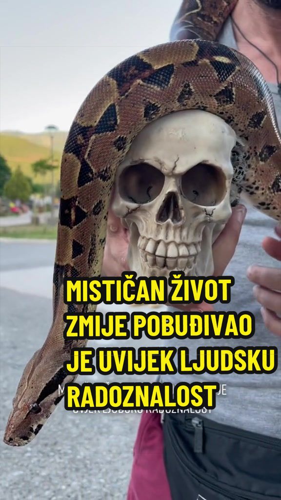 @Maja Kovijanic