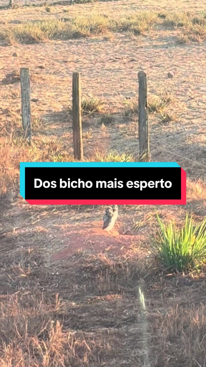 @🍀Santos🚜