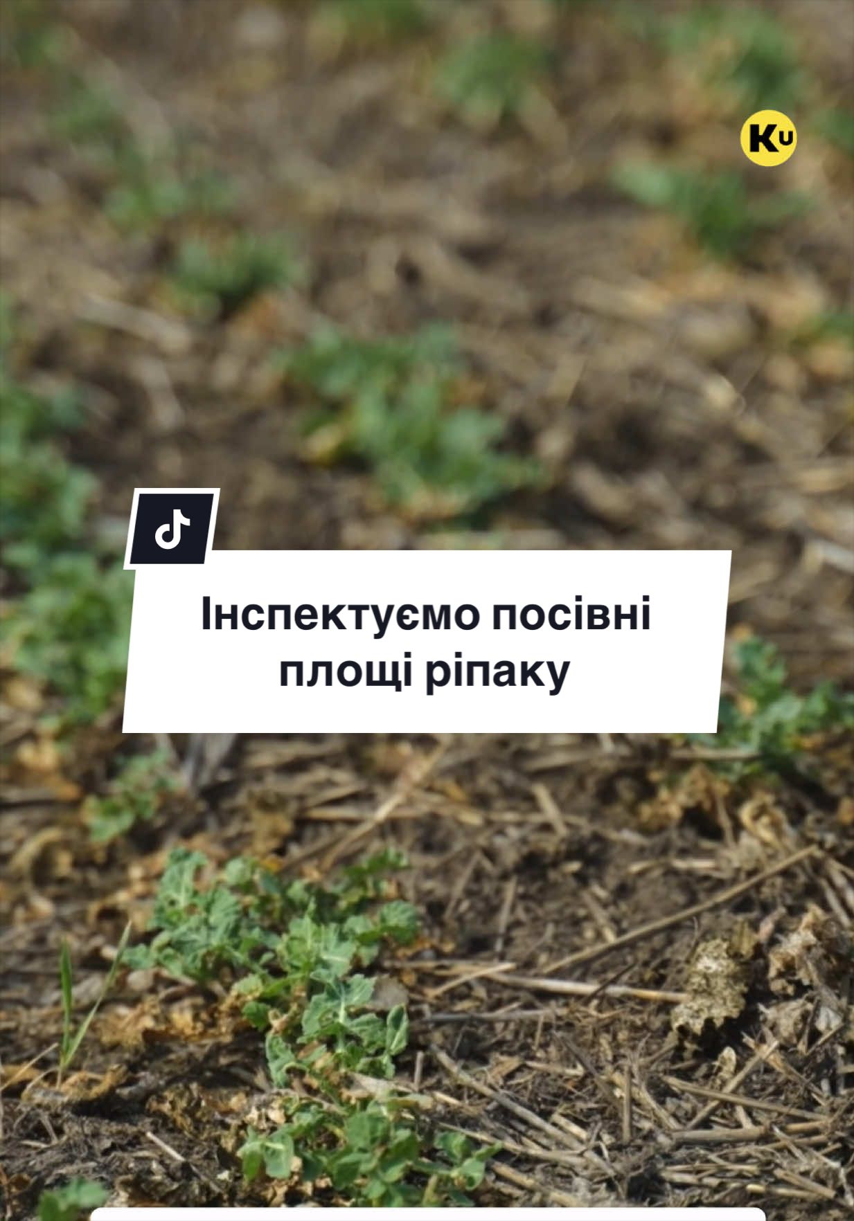 @Ku 🟨🟩 Lati &ndash; Agro Ukraine
