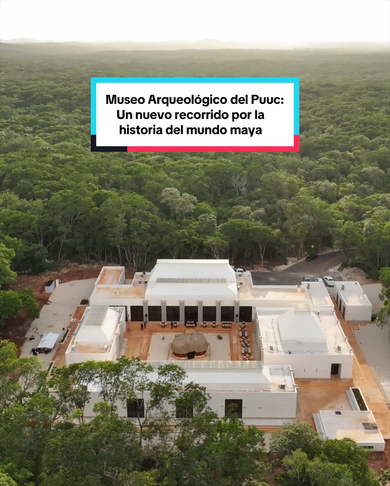 @Secretar&iacute;a de Cultura M&eacute;xico