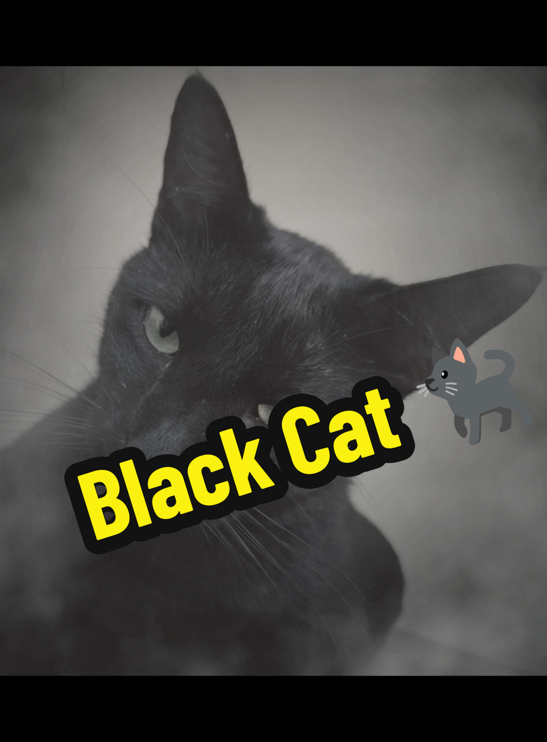 @𝕸𝖁𝕻