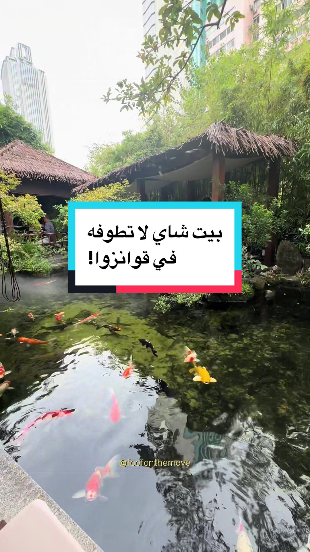 @Wafaa
