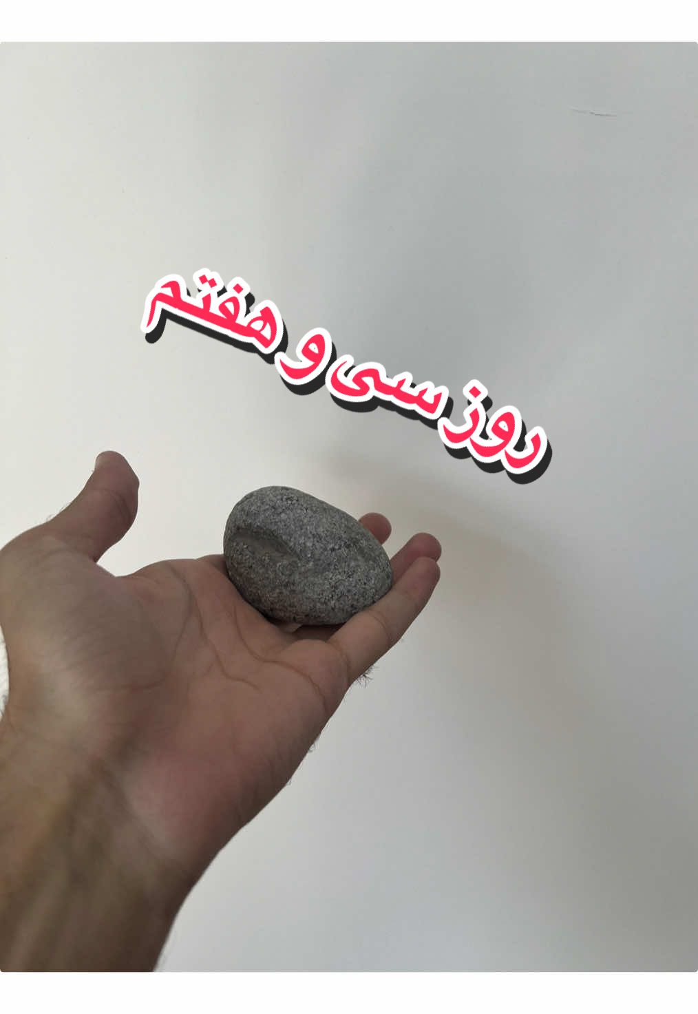 @قلی | یه حیوون خونگی متفاوت