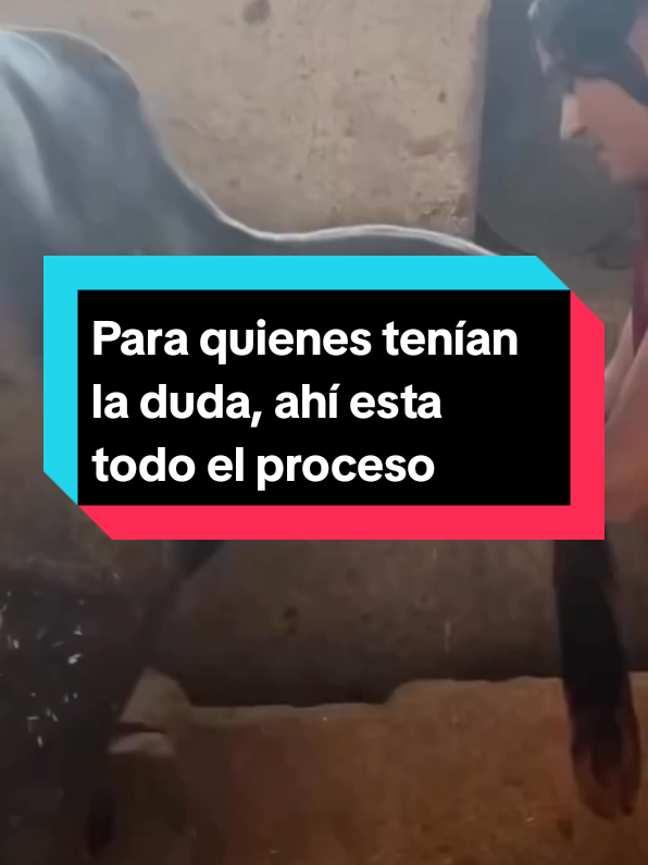 @pitzzajot83
