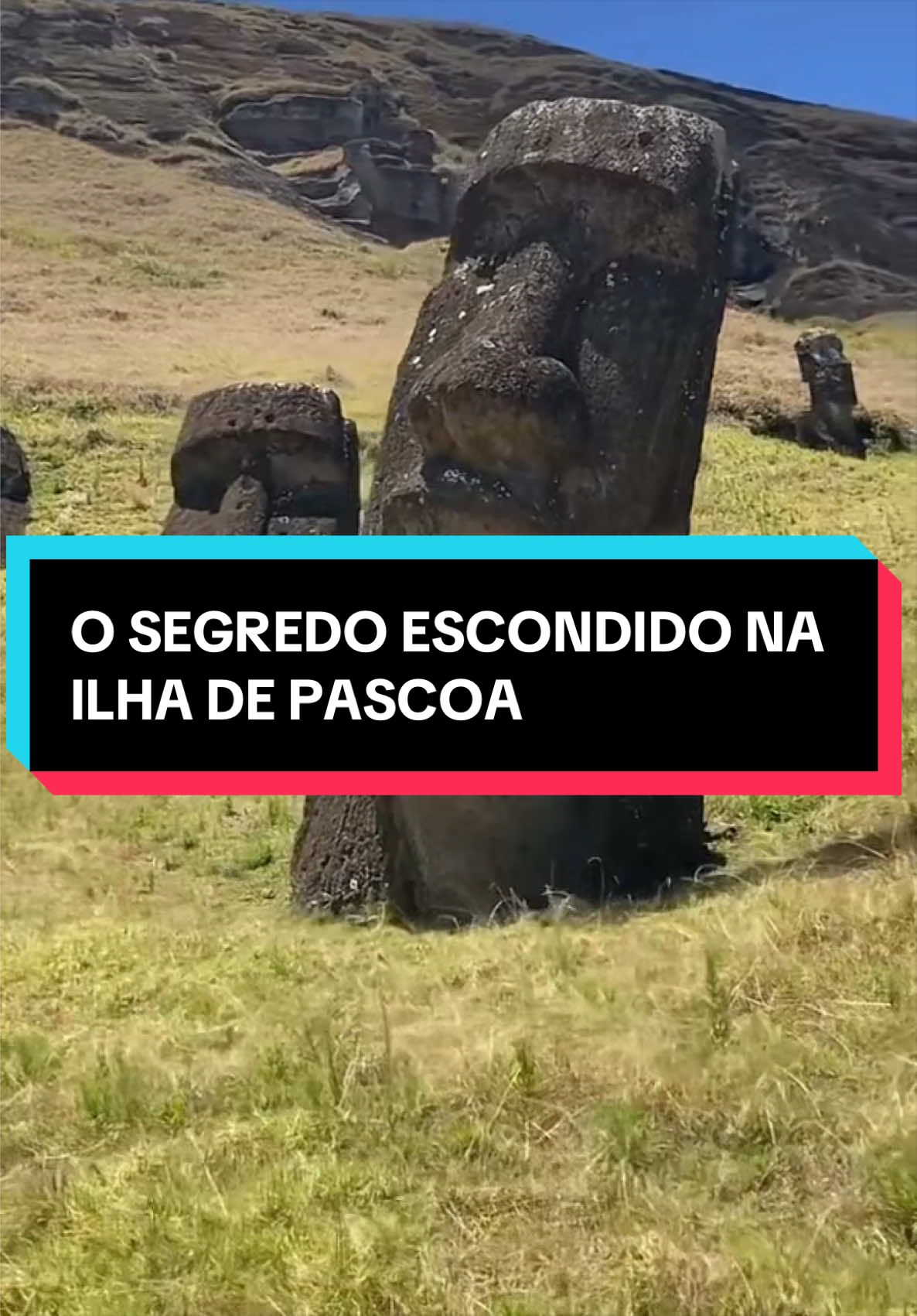 @Pilula de sabedoria
