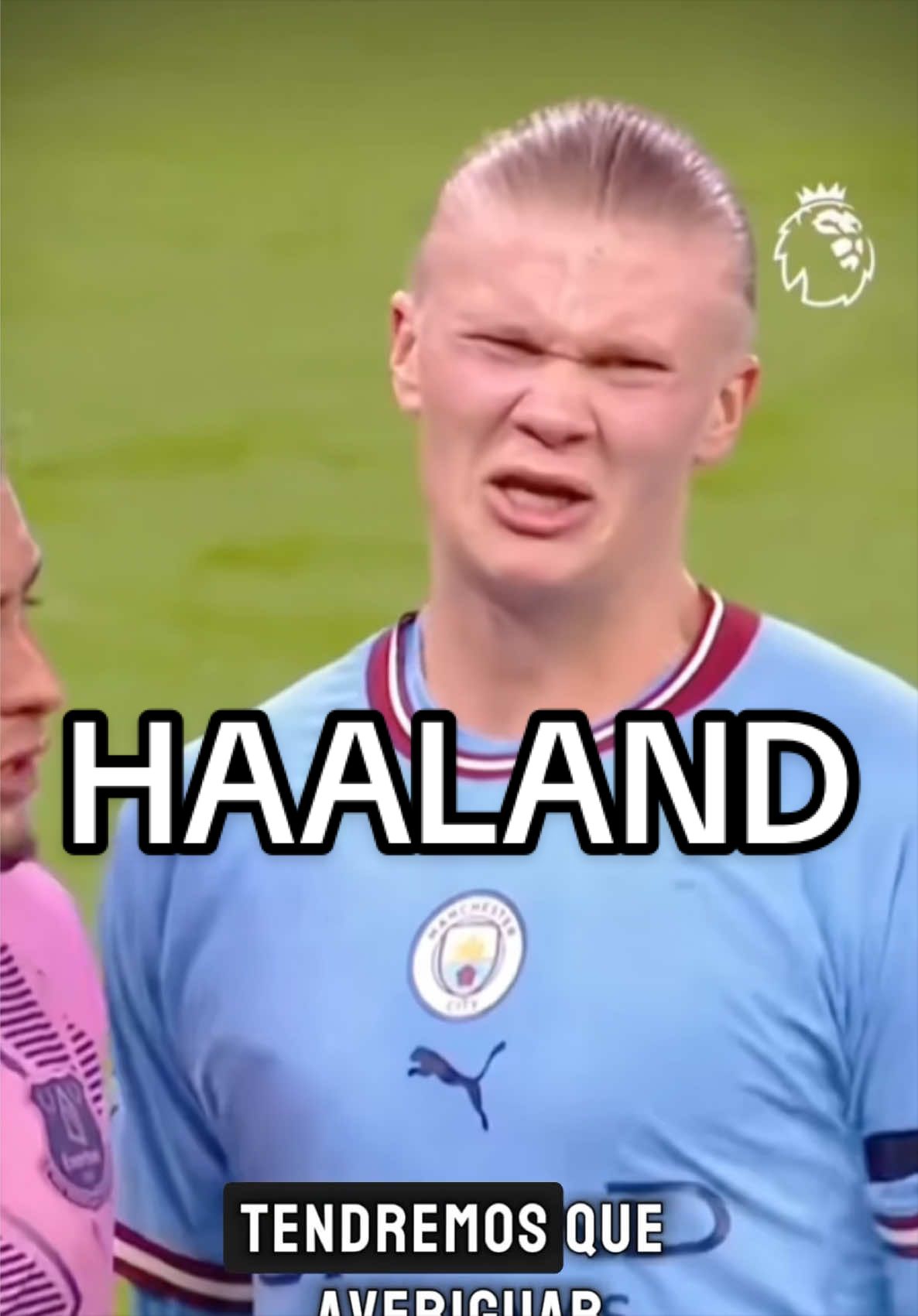 @polilinker