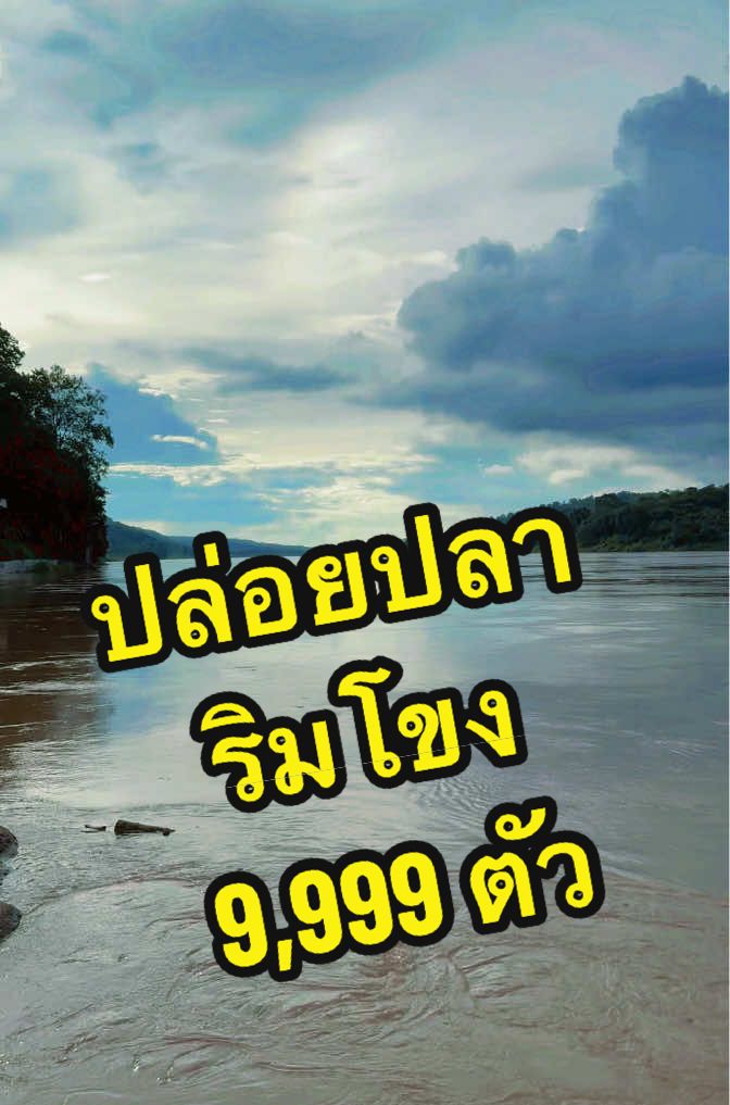 @DanaiChanchaochai