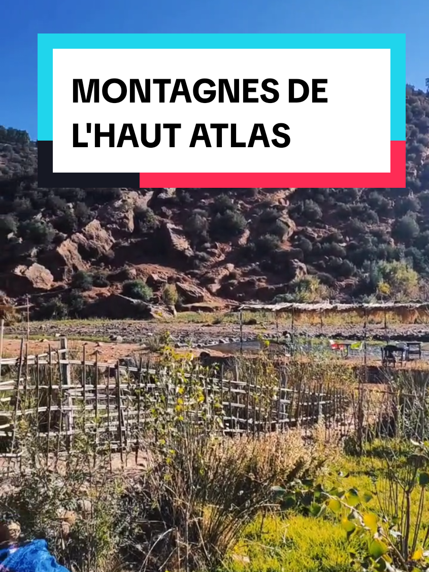 @ElMarocain