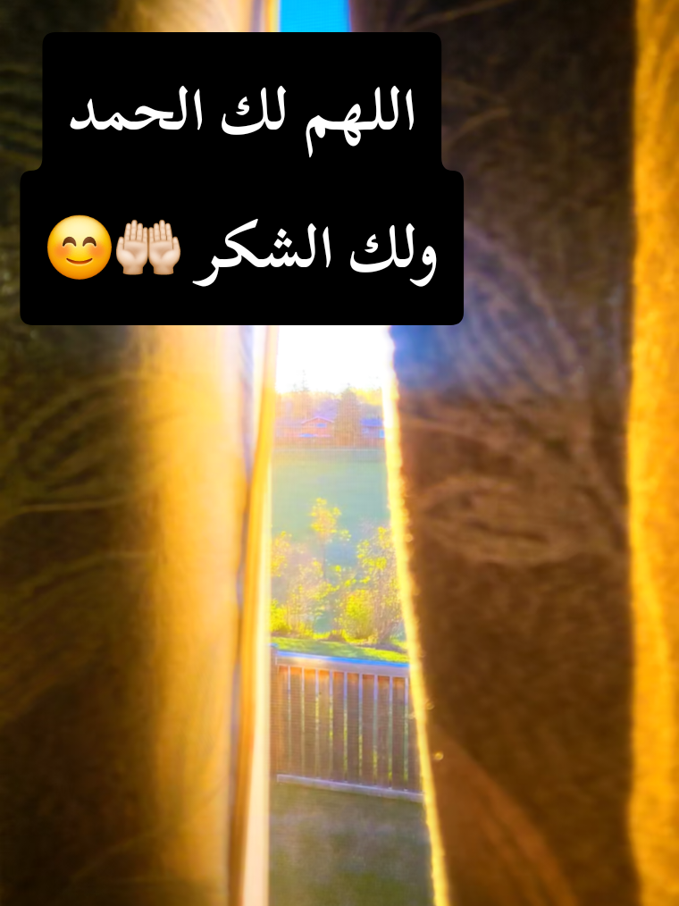 @🍃🌸Tahani Khafas🌸🍃