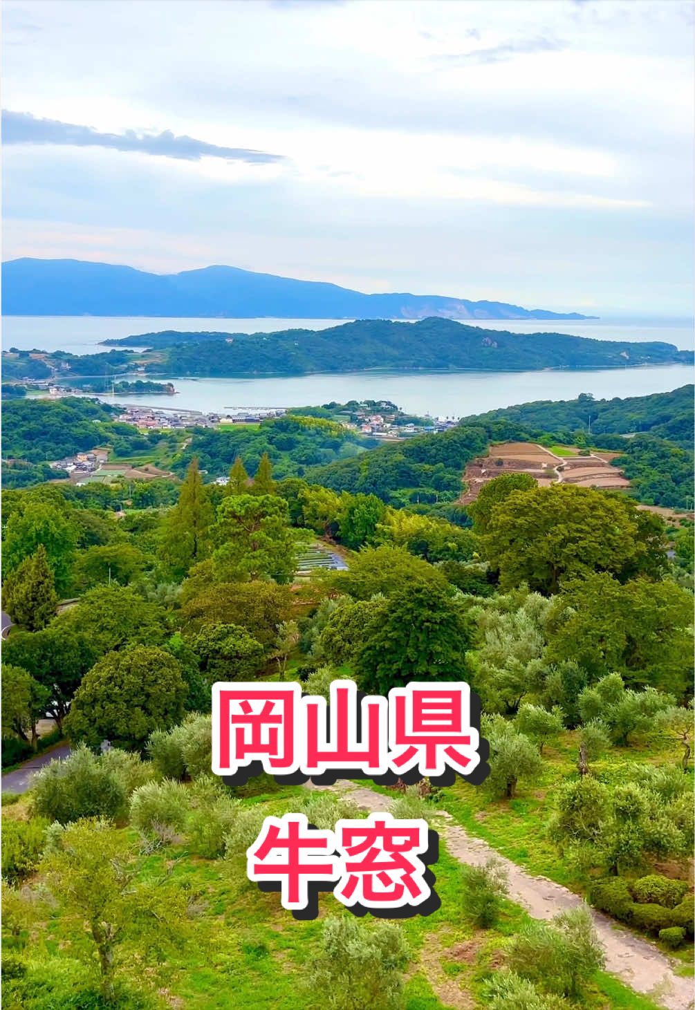 @音丸ぽん🇯🇵