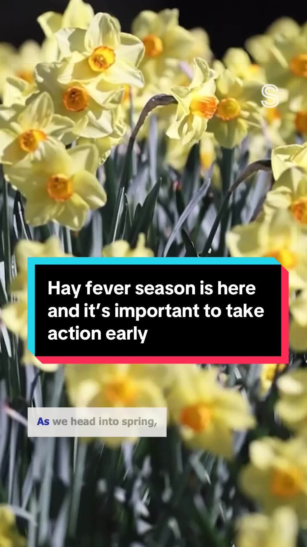 @NZstuff