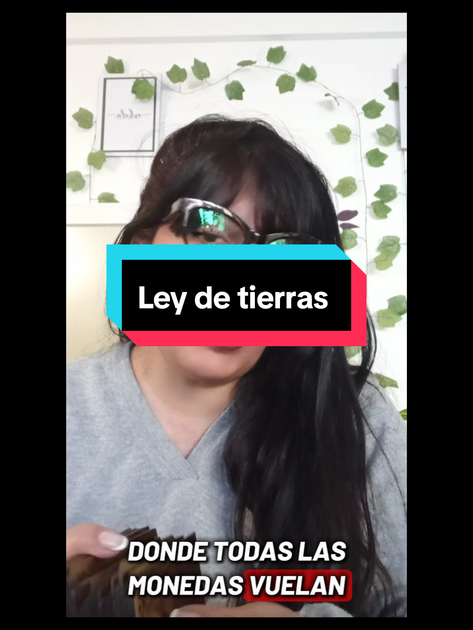 @tarot_y_renacimiento2