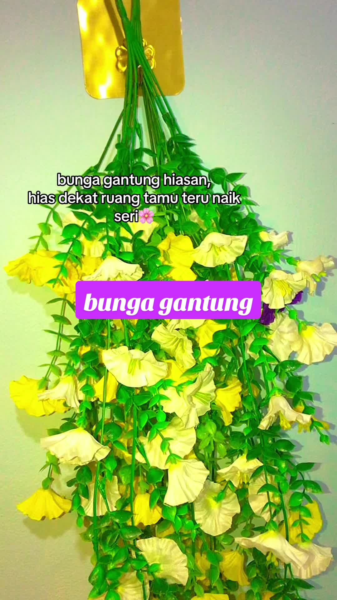 @hi yOu !