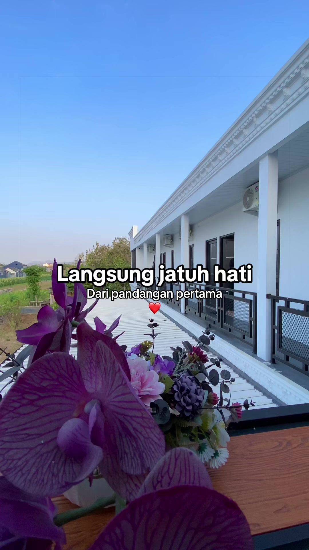 @Kingkost_jogja