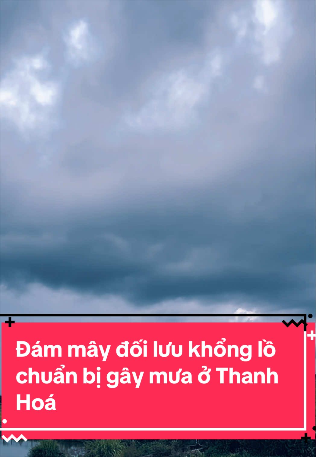@Dân Việt Viral