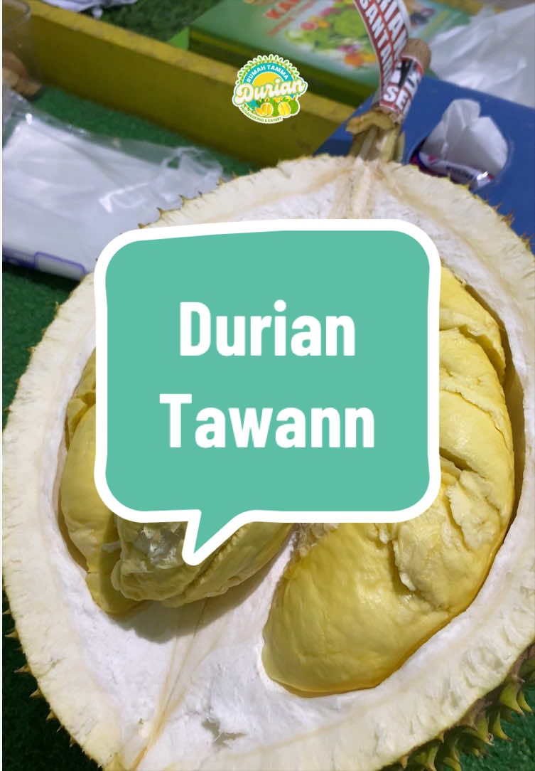 @Rumah Tamma Durian