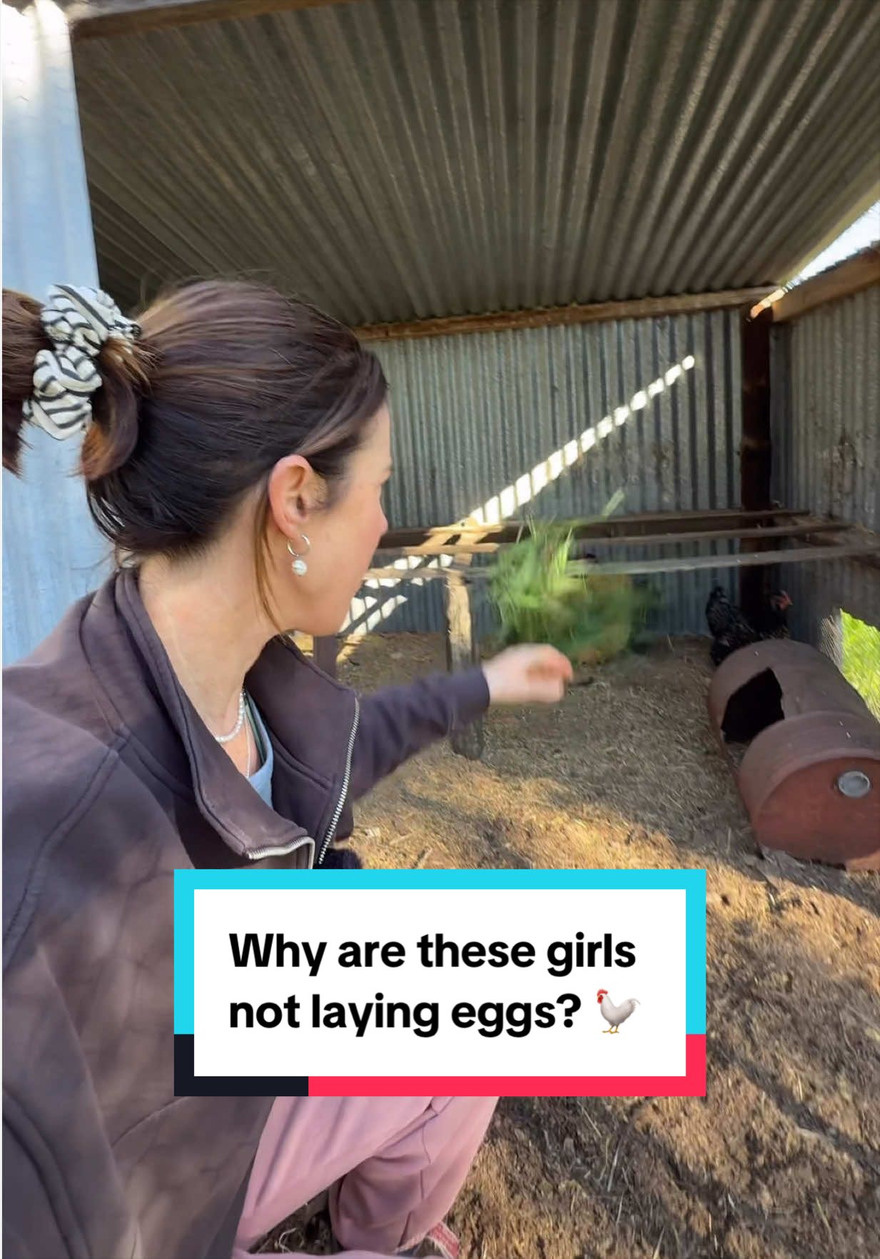 @Steph, random farm girl