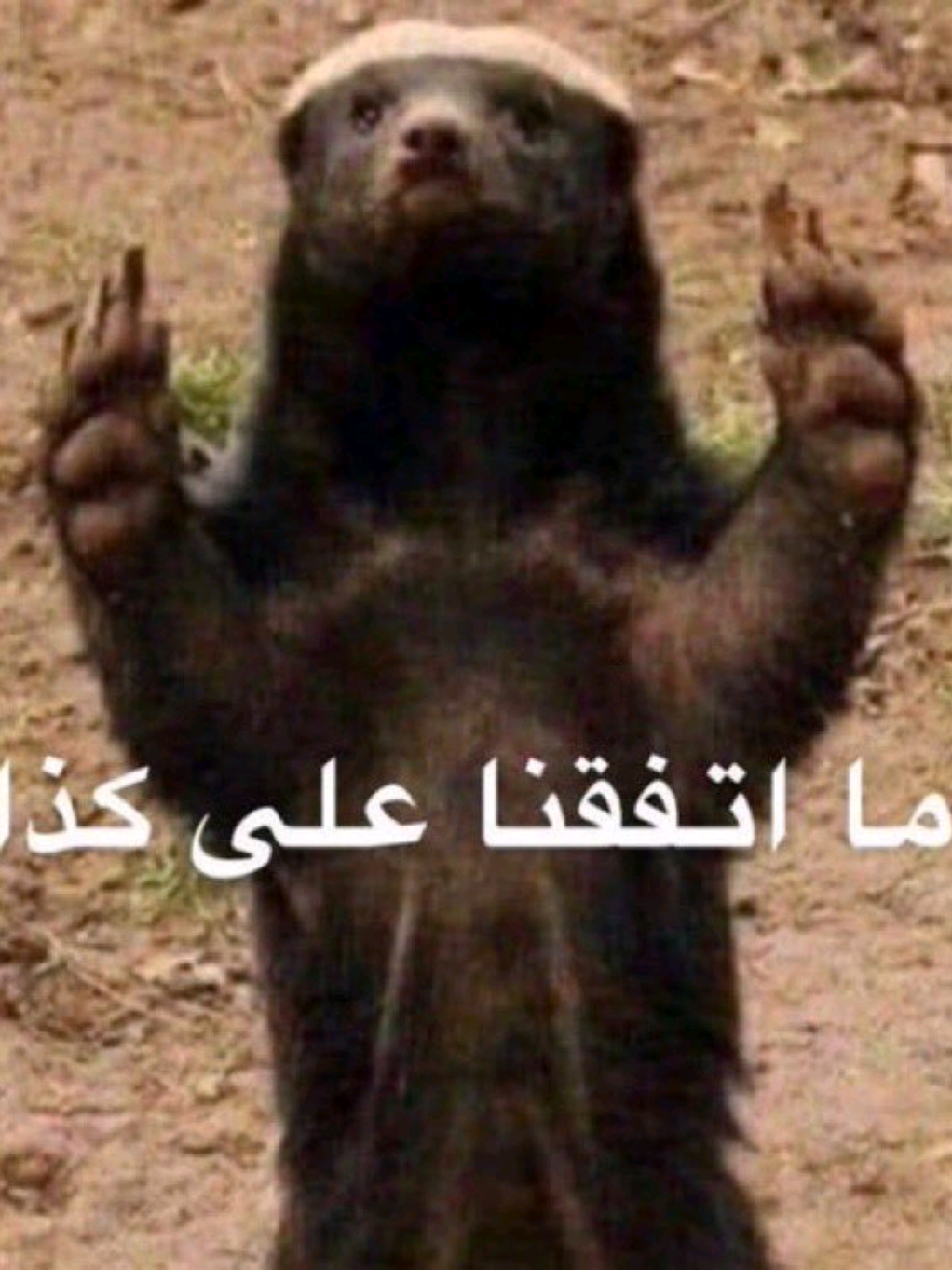 @فخر شارلوت