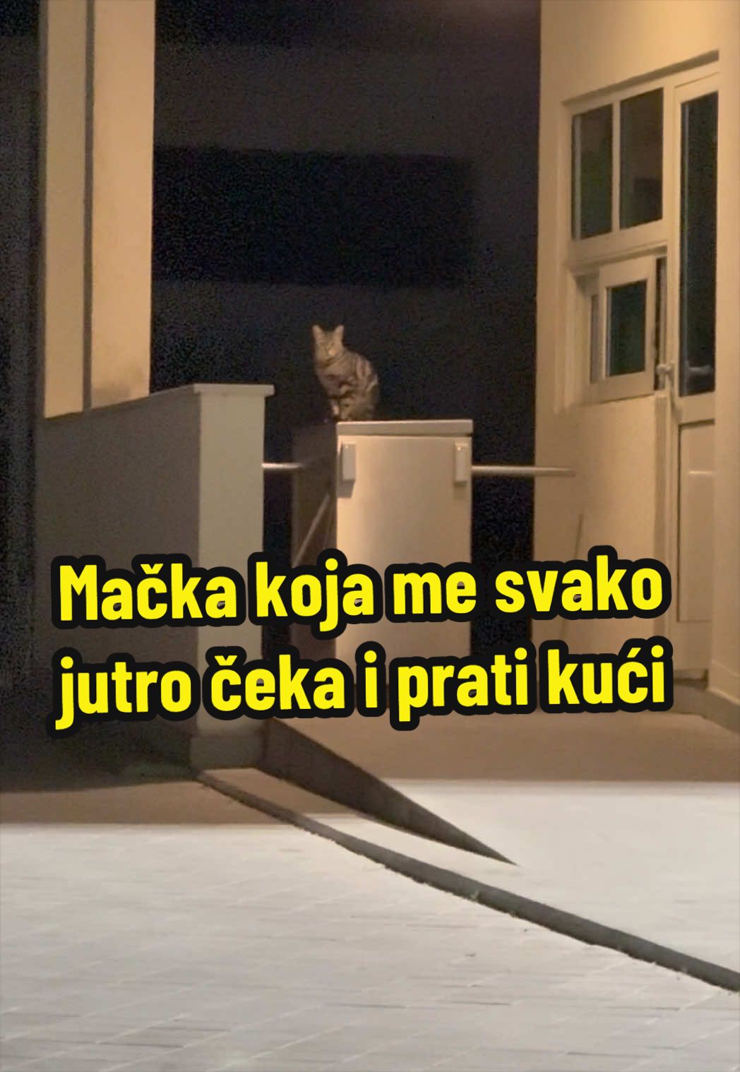 @Maja Kovijanic