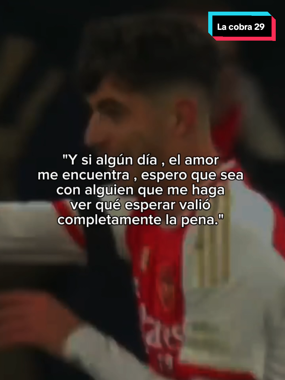 @🏆⚽La cobra 29⚽🏆