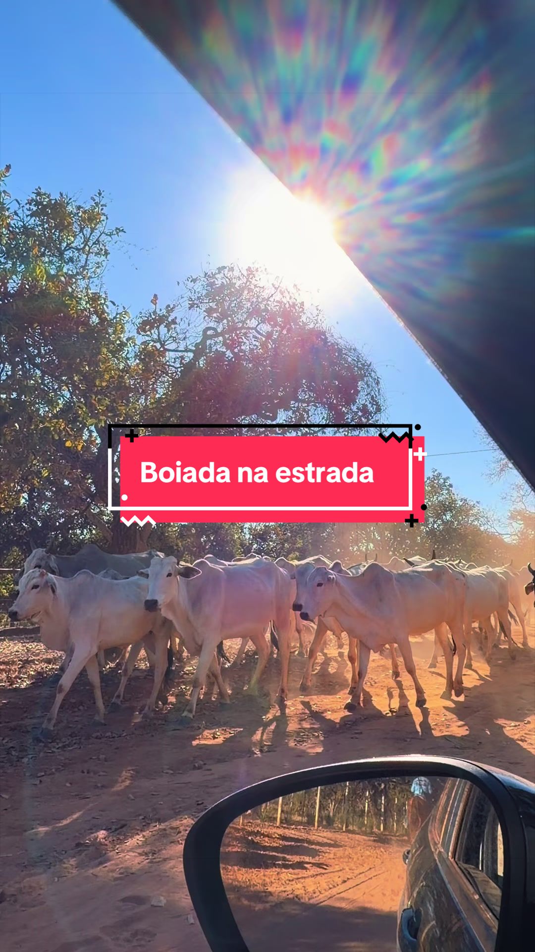 @paulo Luciano ( MG)