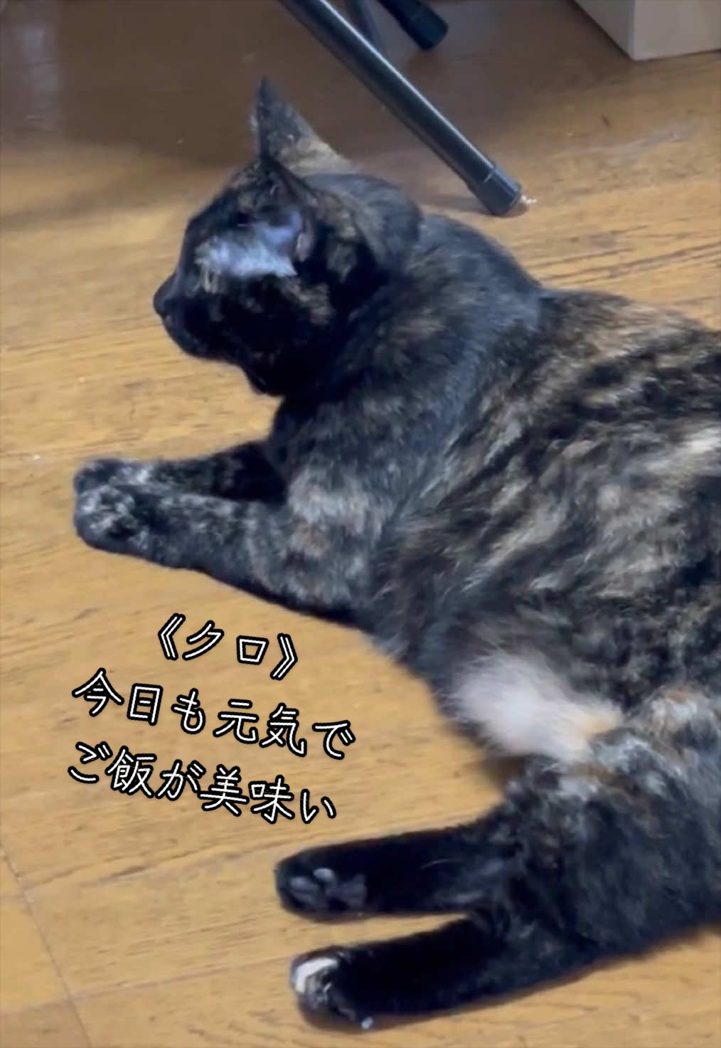 @聴々物語PROJECT
