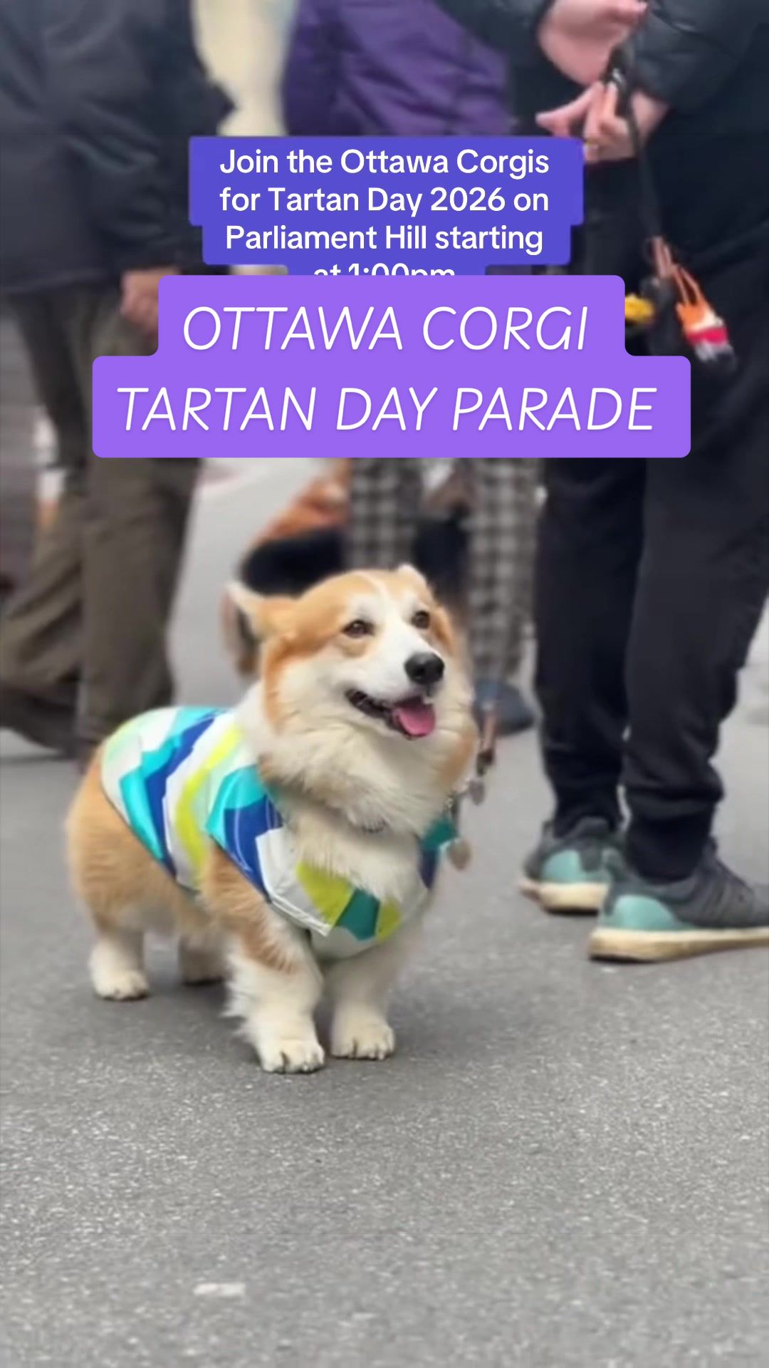 @Kat 🇨🇦 | Ottawa Creator