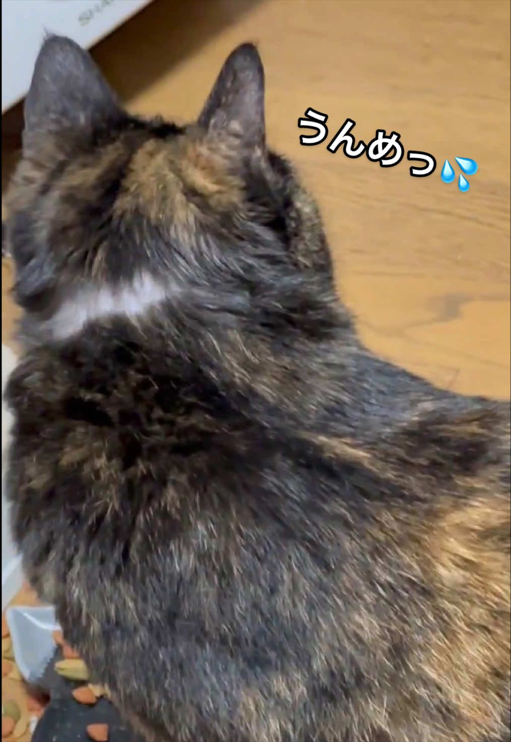 @聴々物語PROJECT