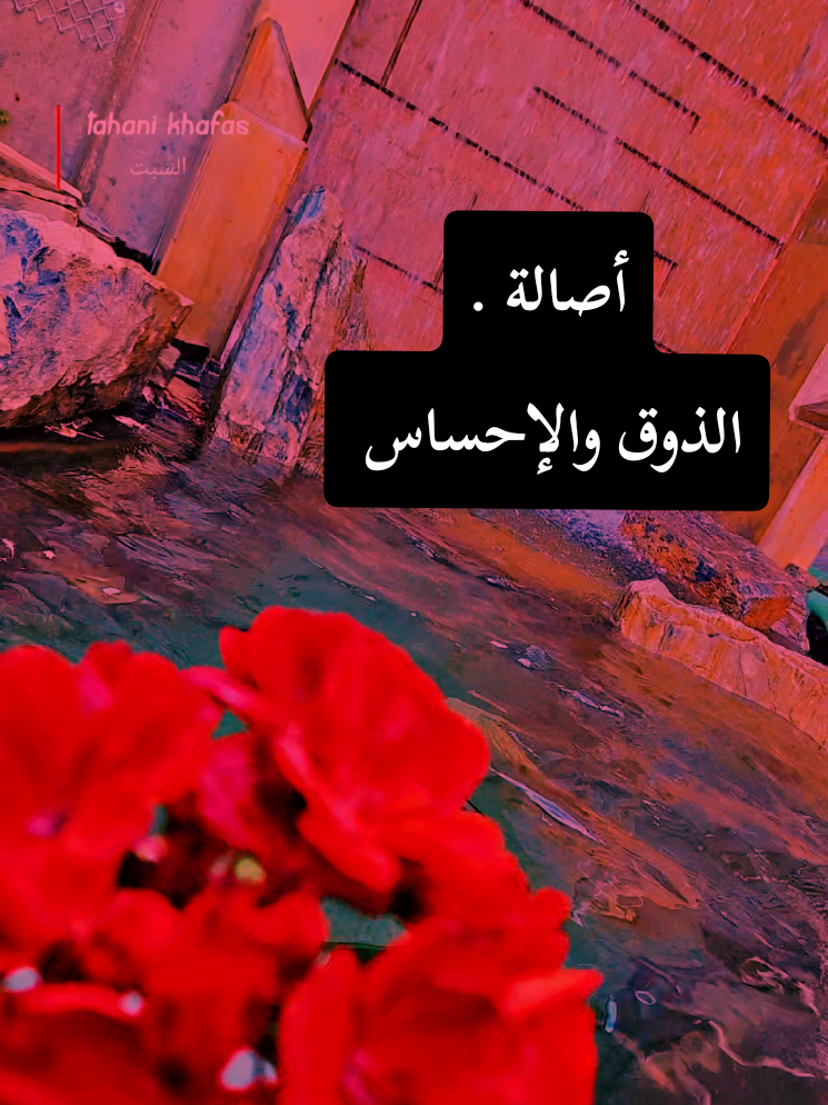 @🍃🌸Tahani Khafas🌸🍃