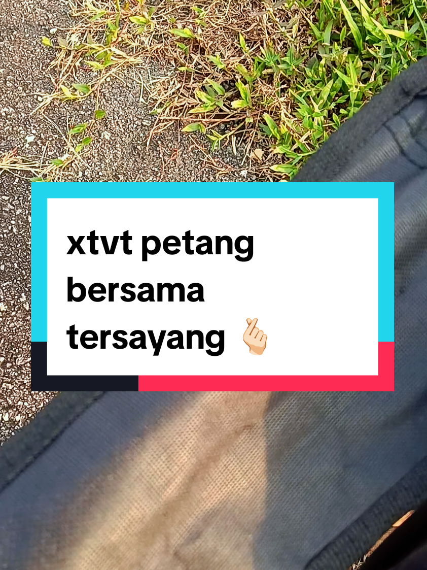 @ᗩᗪᑌᖇᗩ_ᗩᗰIᑎ