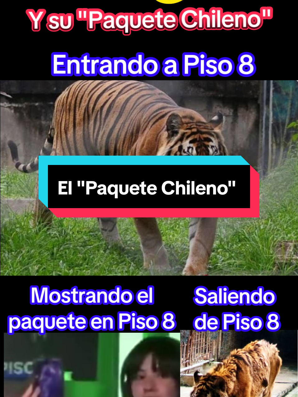 @ingeniero323