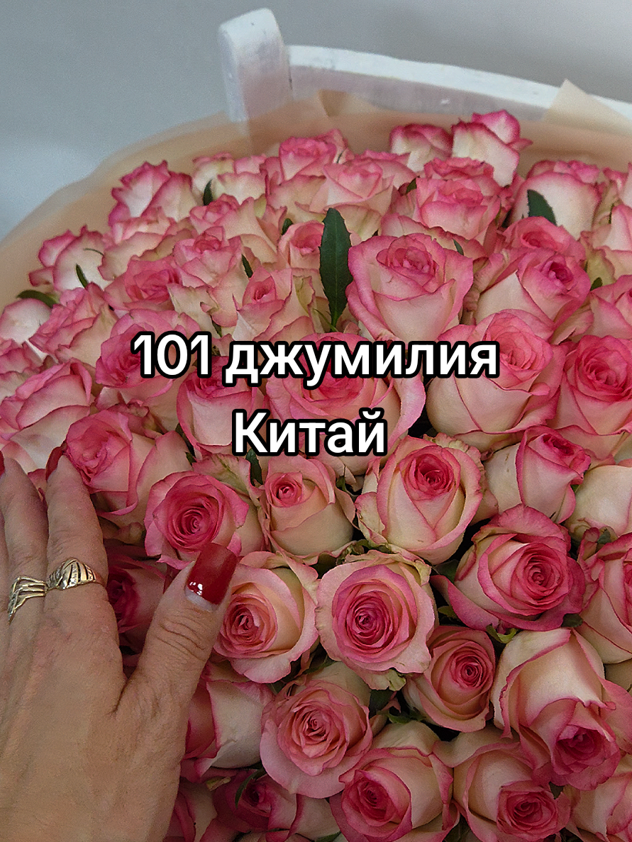 @Снежана