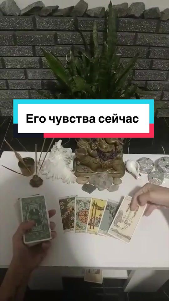 @🃏 TAROLOG RADA 🃏